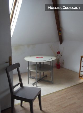 Furnished studio Jardin des plantes...