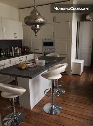 Very nice apartment Trocadero 