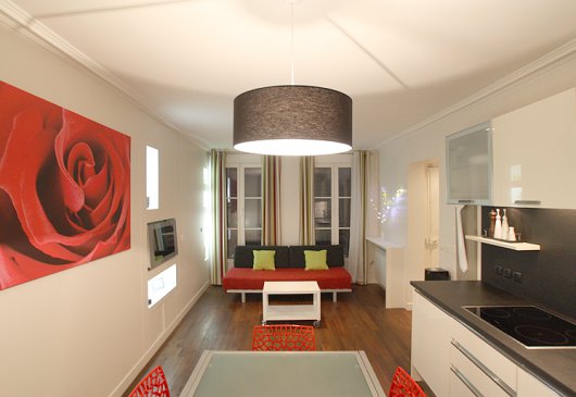 1 bedroom apartment in the Marais