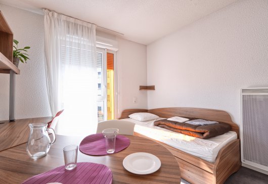 Beautuful flat furnished in Lyon