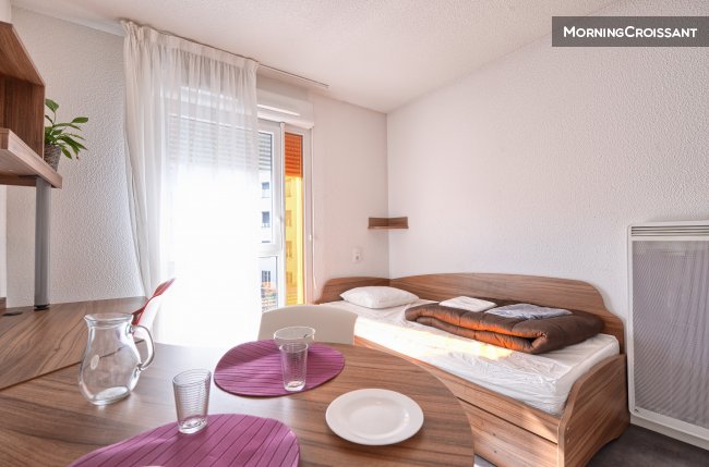 Beautuful flat furnished in Lyon