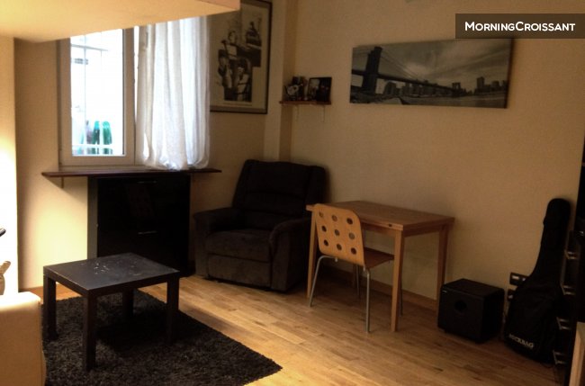 Nice apartment in the Paris' heart