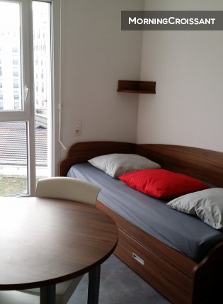 Studio equipped with Lyon Berthelot