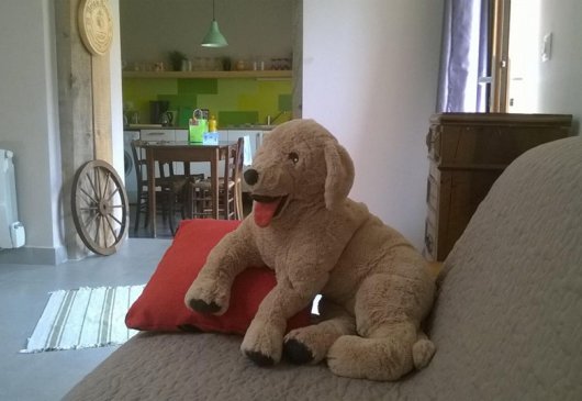 Old stones, cocoon yourself!