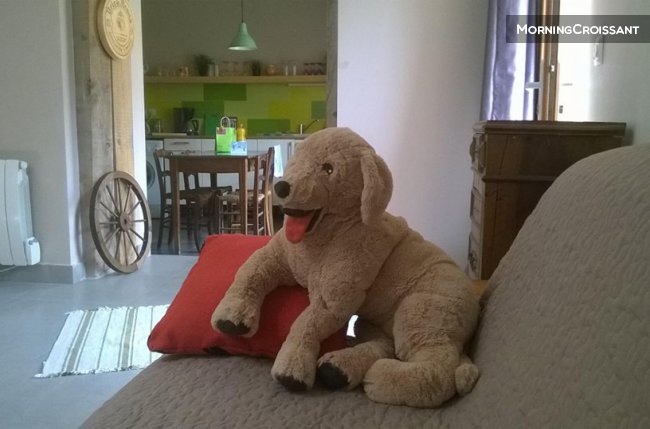 Old stones, cocoon yourself!