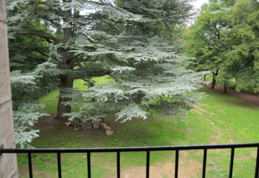 Le Cèdre room, Ecully