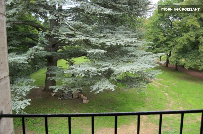 Le Cèdre room, Ecully