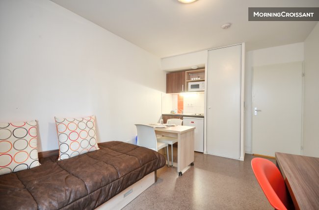 Nice and convenient Studio  