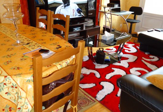 Nice clean and quiet apartment