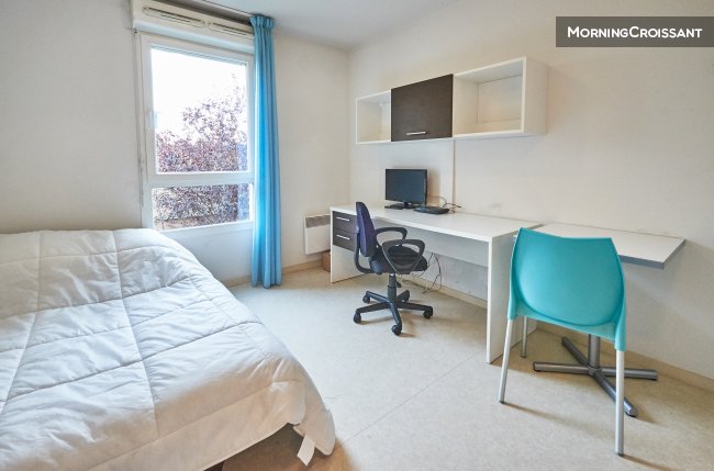 Comfortable furnished Studio