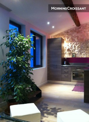 Delightful flat &terrace, Marseille