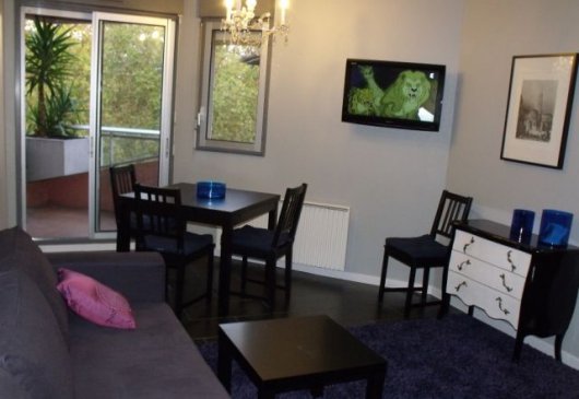 Charming Apartment in Toulouse