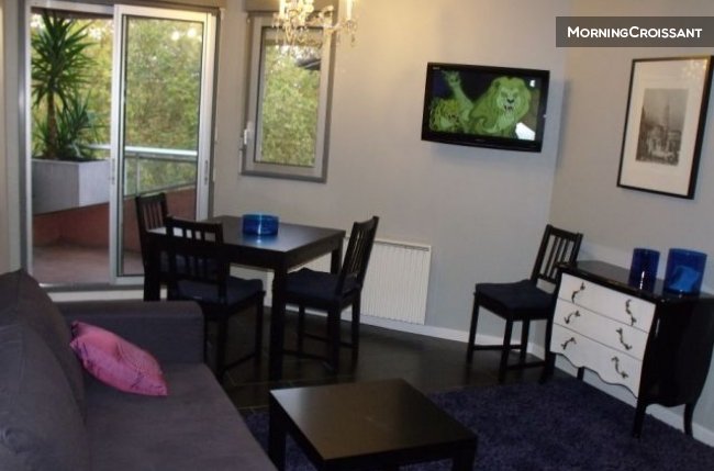 Charming Apartment in Toulouse