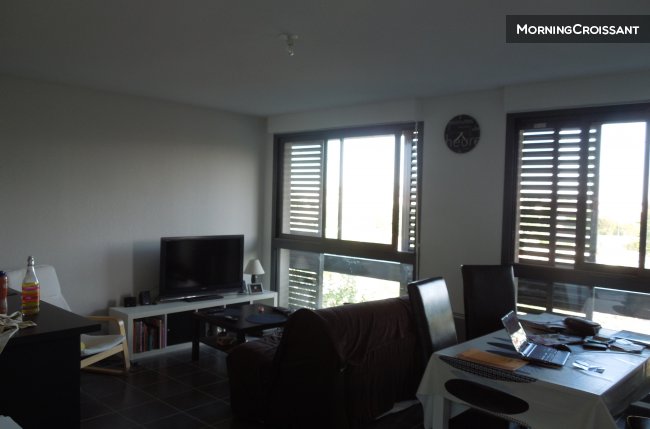 Room in a new apartment