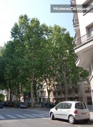 Room Grenoble close to city center 