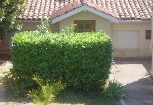 Furnished house with garden