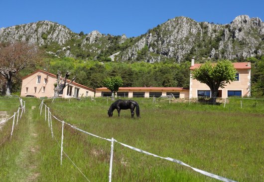  Gite in a horse stud in Seranon