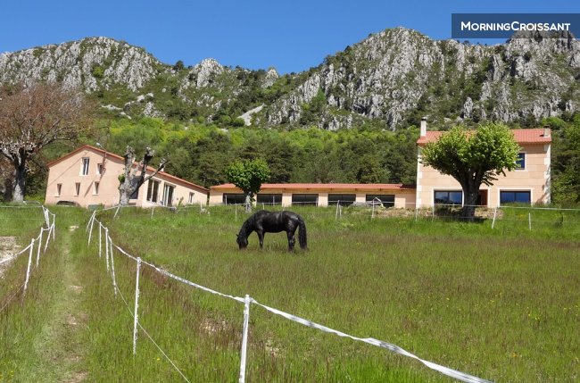  Gite in a horse stud in Seranon