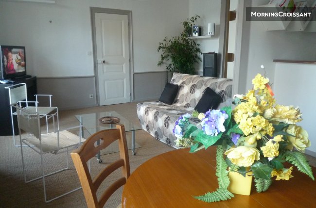 Vannes MORBIHAN Gulf