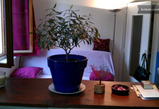 30 m2 light and quiet gypercenter