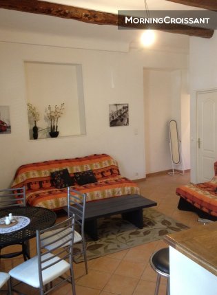 Elegant furnished apt Nice harbour