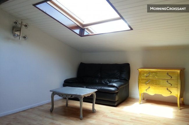 Very nice studio place du Capitole