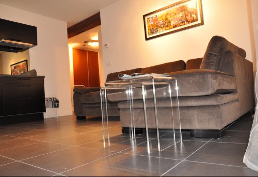 Luxurious apartment Croix Rousse