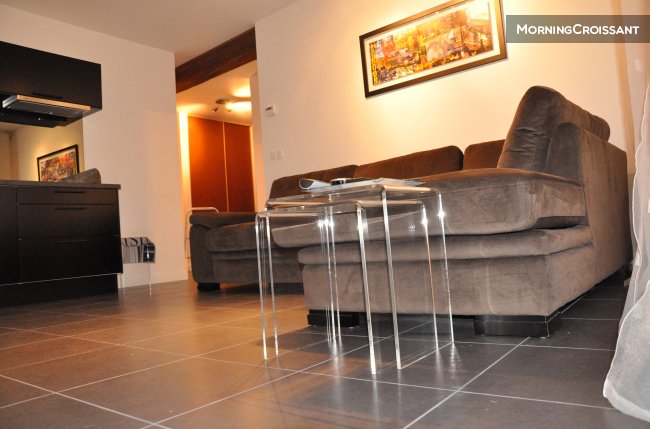 Luxurious apartment Croix Rousse