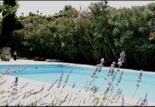 House with swimming pool