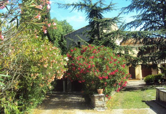 Apartment for 5-7 people