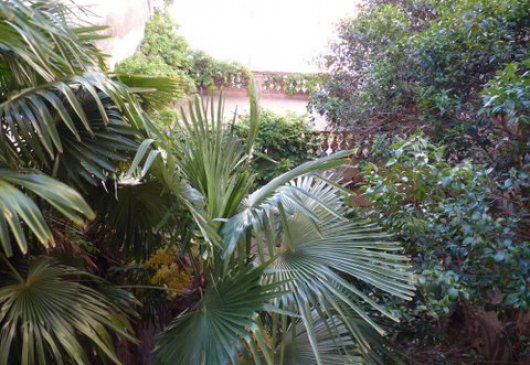 Haven of peace 135 m 2 heart Perpig...