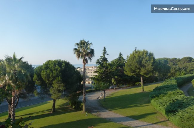 Greenery and sea in 10 mins walk