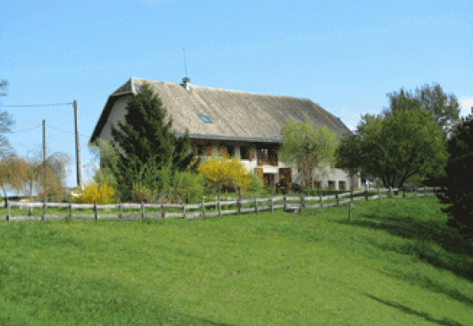 Home comfort in nature