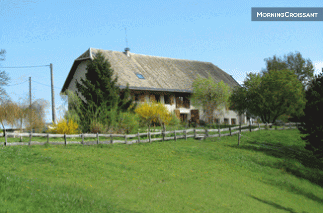 Home comfort in nature