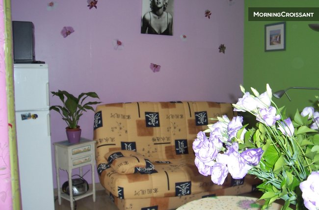 Nice studio with terrace