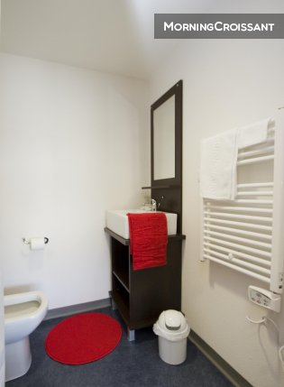 Renovated Studio - Lyon La Duchère