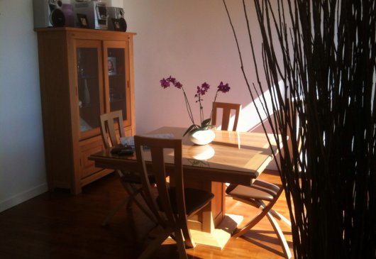 Beautiful apartment near Paris