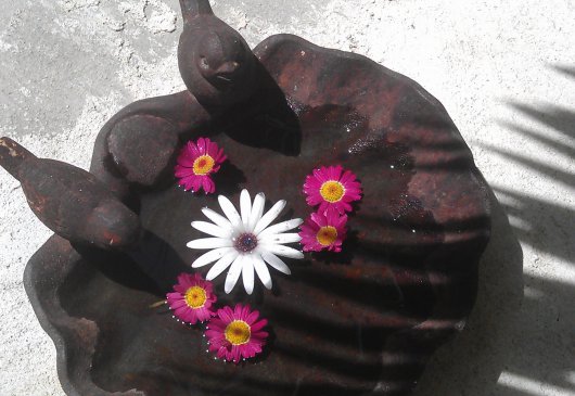 Charm and garden-jacuzzi at seaside