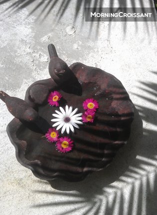 Charm and garden-jacuzzi at seaside