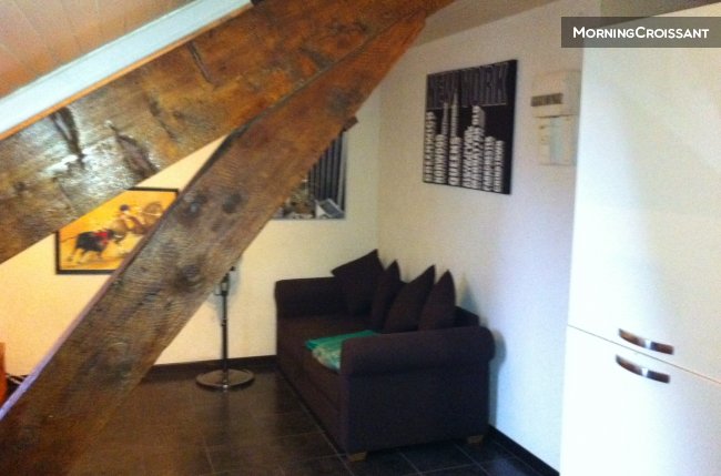 Beautiful studio city center