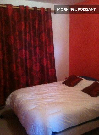 New luxurious house with billiards