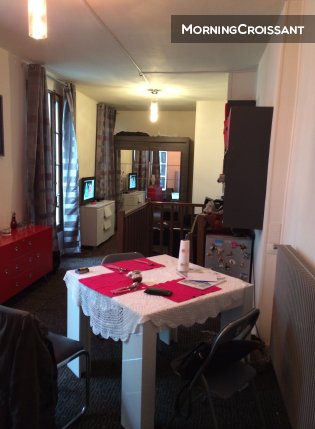 Duplex in Paris (Louvre)