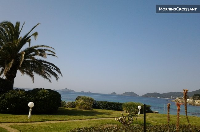 Corsica apartment to rent 