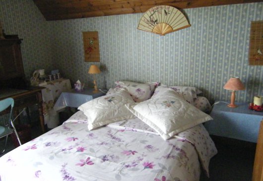 Nice room in Alsatian House