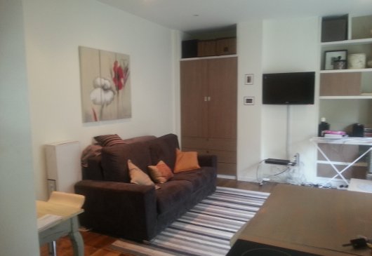 Studio 35 m 2 renovated rental apar...