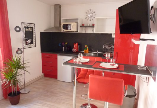 One room apartment down town