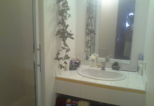 Great 1BR apt, bright and quiet