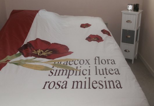 Apartment first floor, quiet!