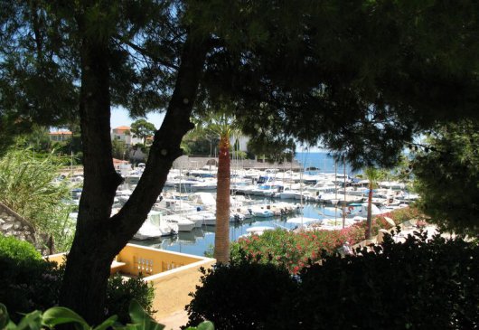 Nice and comfortable studio