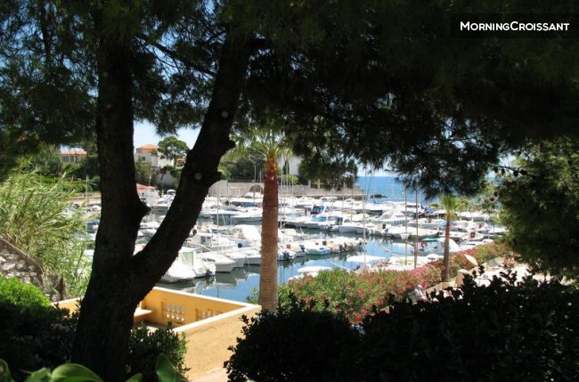 Nice and comfortable studio